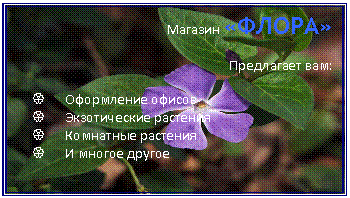 Барвинок"
