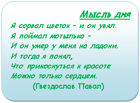 ����-�����: