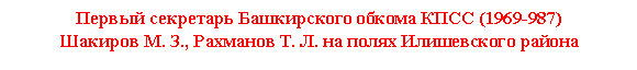 �������: