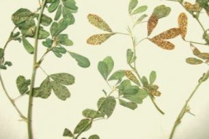 1005