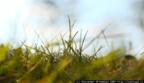 http://*****/gallery/070823/29.jpg