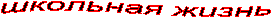 школьная жизнь