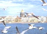 C:\Users\Spell53Pro\Desktop\spb_chajki_1.jpg