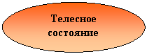 Овал: Телесное состояние