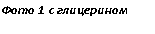 �������: