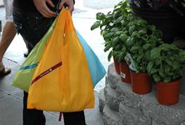 Loopt bag