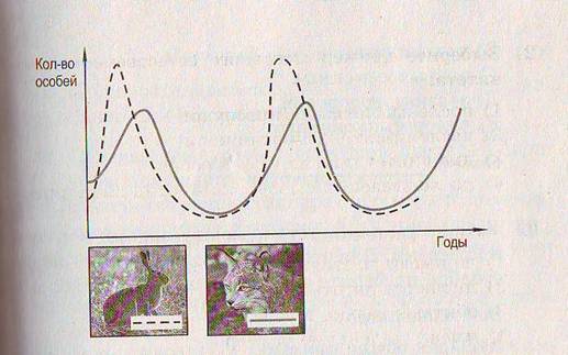 F:\\Scan10052.JPG