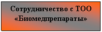�������: �������������� � ��� «���������������»
