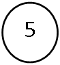 ����-�����: ����: 5