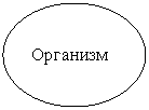 ����: ��������

























-



















