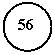 ����: 56