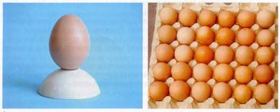 http://*****/articles/Jornal04/Images/Statia2/eggs.jpg