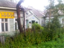 D:\Разное\садики\IMG096.jpg