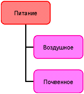 Организационная диаграмма