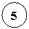 ����: 5