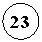 ����: 23