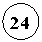 ����: 24
