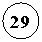 ����: 29
