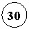����: 30