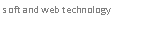 �������: soft and web technology