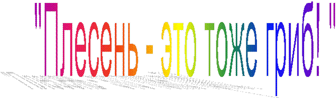 "Плесень - это тоже гриб! "