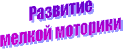 ��������

������ ��������