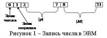 �������: