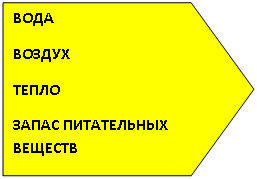 ������������: