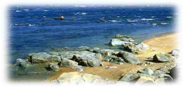 http://*****/PRIMORYE/PROTECT/798031_z.jpg