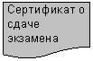 Блок-схема: документ: Сертификат о сдаче экзаме-на