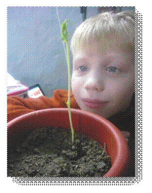 P1050077"