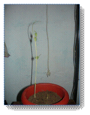 P1050088"