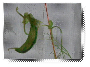 DSC00010
