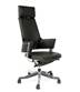 CHAIRMAN 260