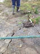 ��������: F:\DISASTERS\Sinkhole\AMinspectionphoto4.jpg