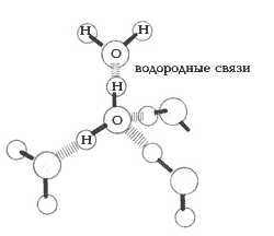 Структура воды