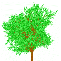 http://upload.wikimedia.org/wikipedia/commons/thumb/8/8e/Fractal_tree.png/200px-Fractal_tree.png