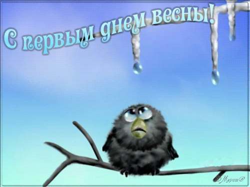 http://cs9815.userapi.com/u/-5/x_da31b901.jpg