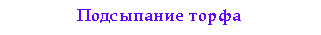 �������: