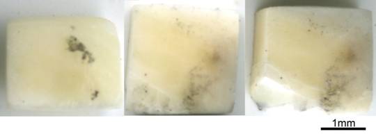 Sample 5 normal degree of compression cut .jpg