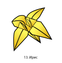 13. Ирис
