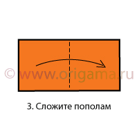 Сложите пополам