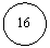 ����: 16