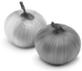 onion_m