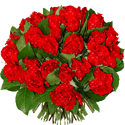 flowers078