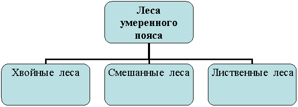 Организационная диаграмма