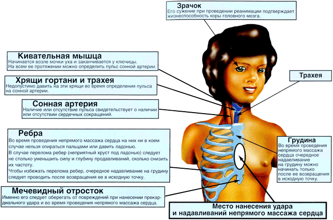 http://195.189.219.252:9001/Prepare/Doc/38a8c083-b332-4d7f-9783-4adae00b30e9/1/1dce8e7c-ecd-44713b038948/i/image14.png