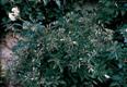 Cliquez pour zoomer...