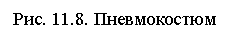 �������:
