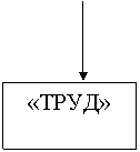 �������: «����»